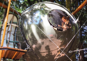 Stay In A Sphere Treehouse At This Unique BC Accommodation