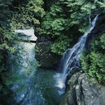 7 Easy B.C. Trails The Whole Family Can Enjoy This Spring