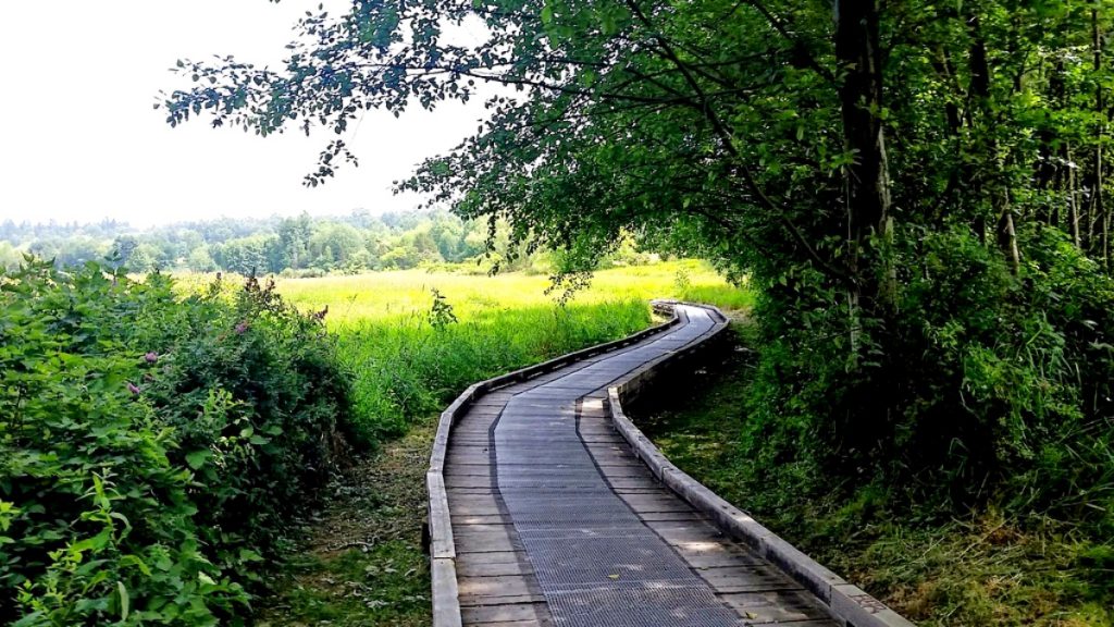 deer lake park trail