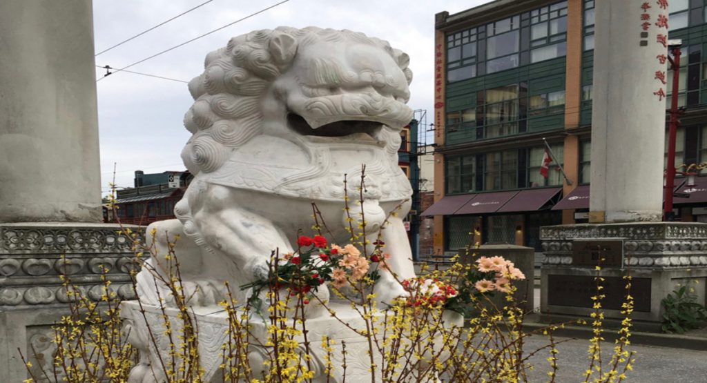 Vancouver chinatown lions