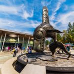 The Vancouver Aquarium Is Going Cashless And People Are Divided