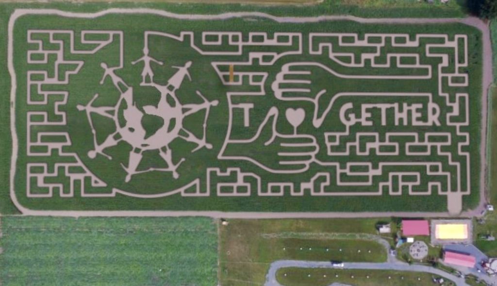 Chilliwack Corn Maze