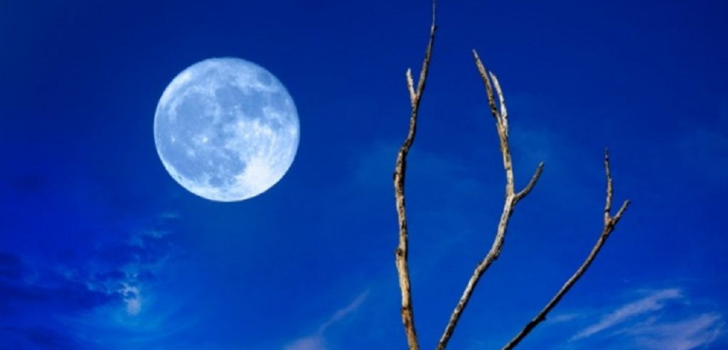 Hunter's Blue Moon