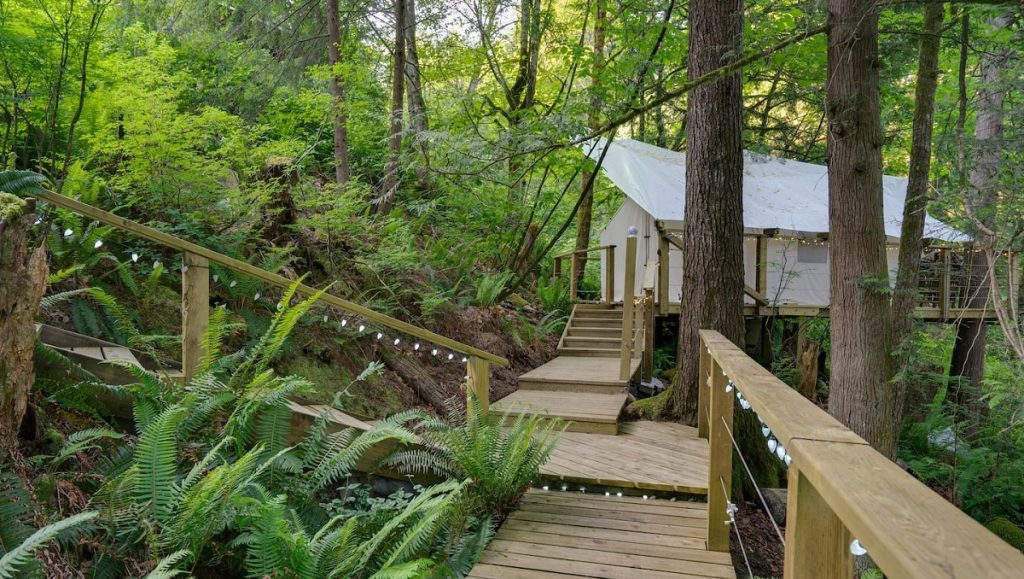 golden ears glamping