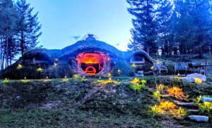 9 Airbnb Stays In BC You Must Experience At Least Once