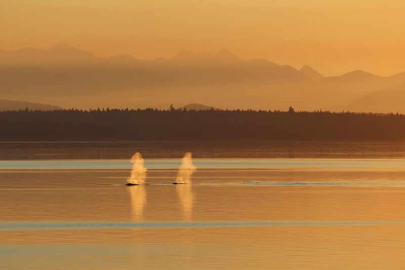 Quadra Island