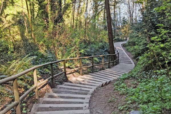 stair workout in metro Vancouver