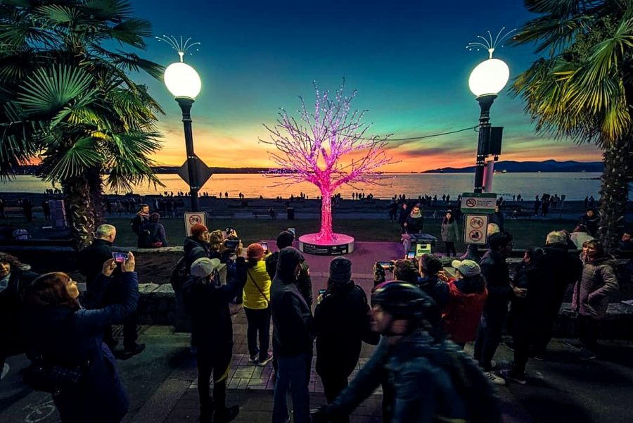 21 Fun Things To Do In And Around Vancouver This Weekend (Nov 19-21)