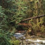 9 Essential Vancouver Spring Hikes Even Your Lazy Friends Will Love