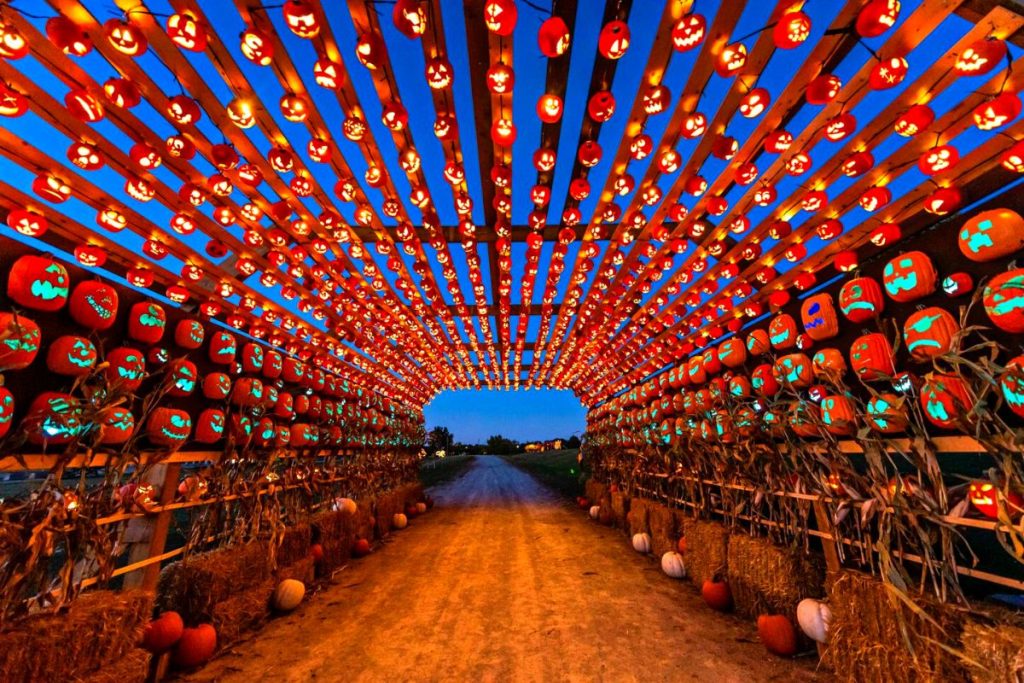 pumpkins after dark burnaby