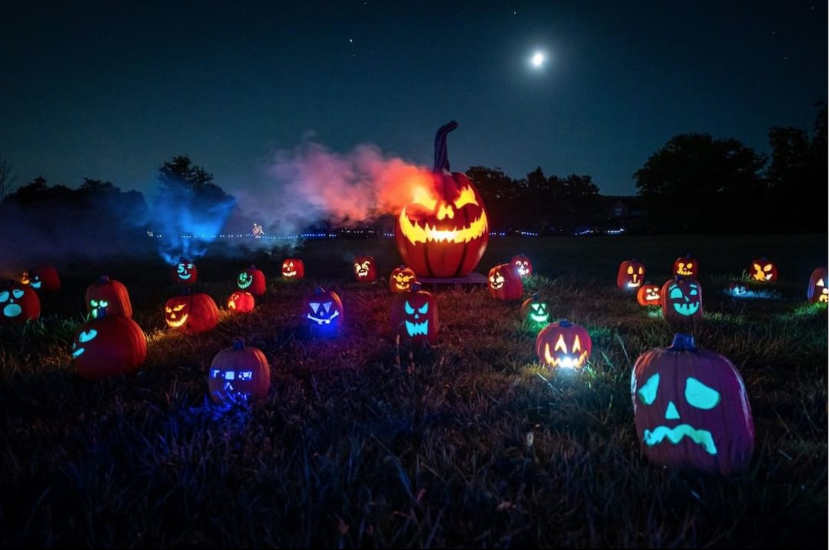 pumpkins after dark