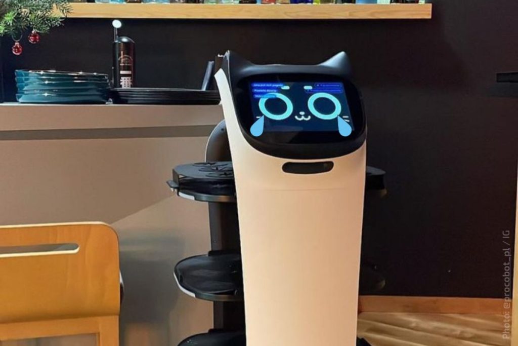 robot server