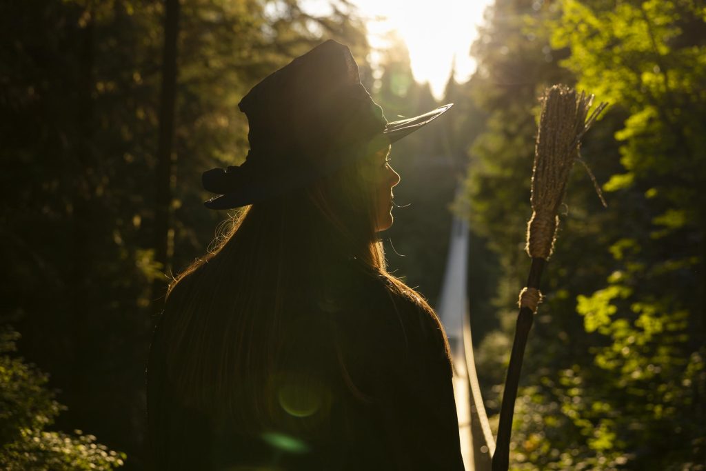 Capilano Suspension Bridge Park