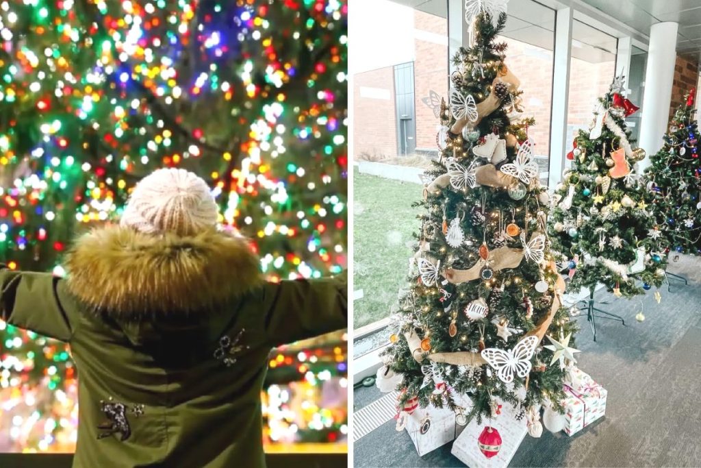 Cloverdale Christmas Tree Fest