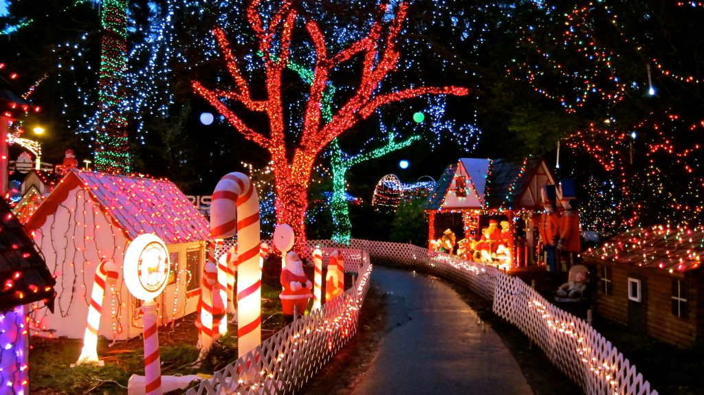 Stanley Park Bright Nights 2023