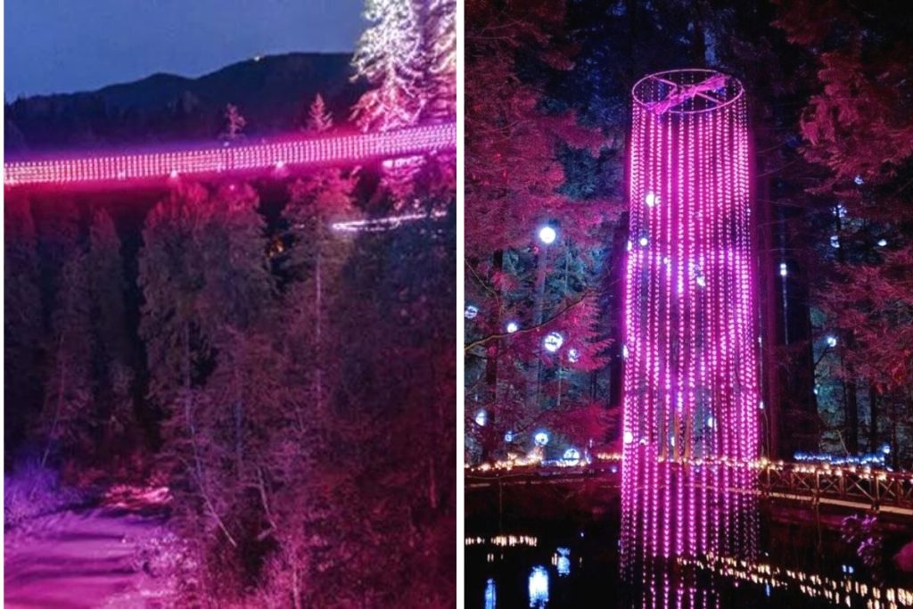 Capilano Suspension Bridge Park