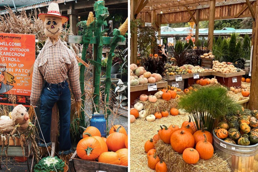 scarecrow festival / halloween events metro vancouver