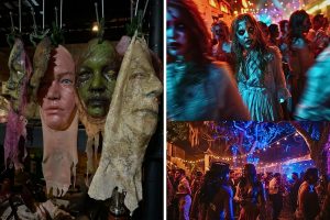 DreadWorlds Realm of Horror– An Interactive Halloween Nightmare