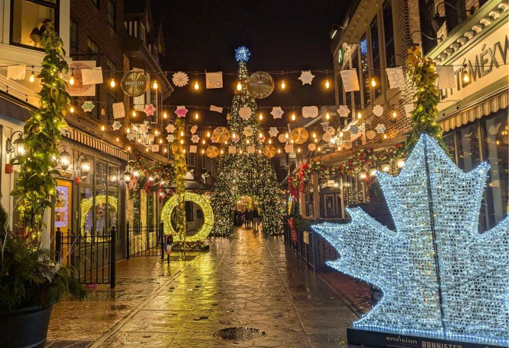 Chilliwack Christmas / christmas light displays