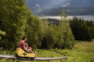 The Pipe Mountain Coaster