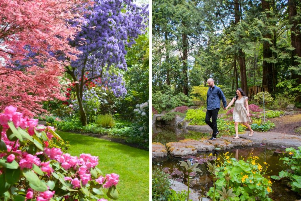 The Glades Woodland Garden