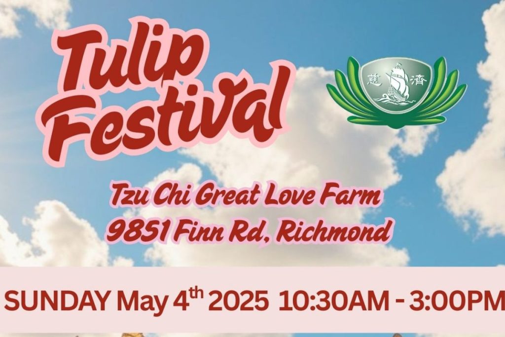 Tulip Festival