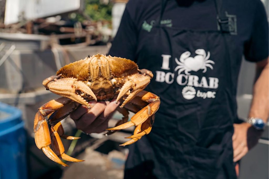 false creek crab fest
