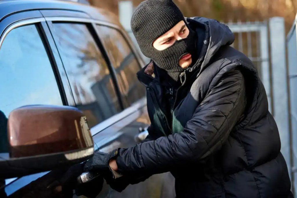 car theft canada