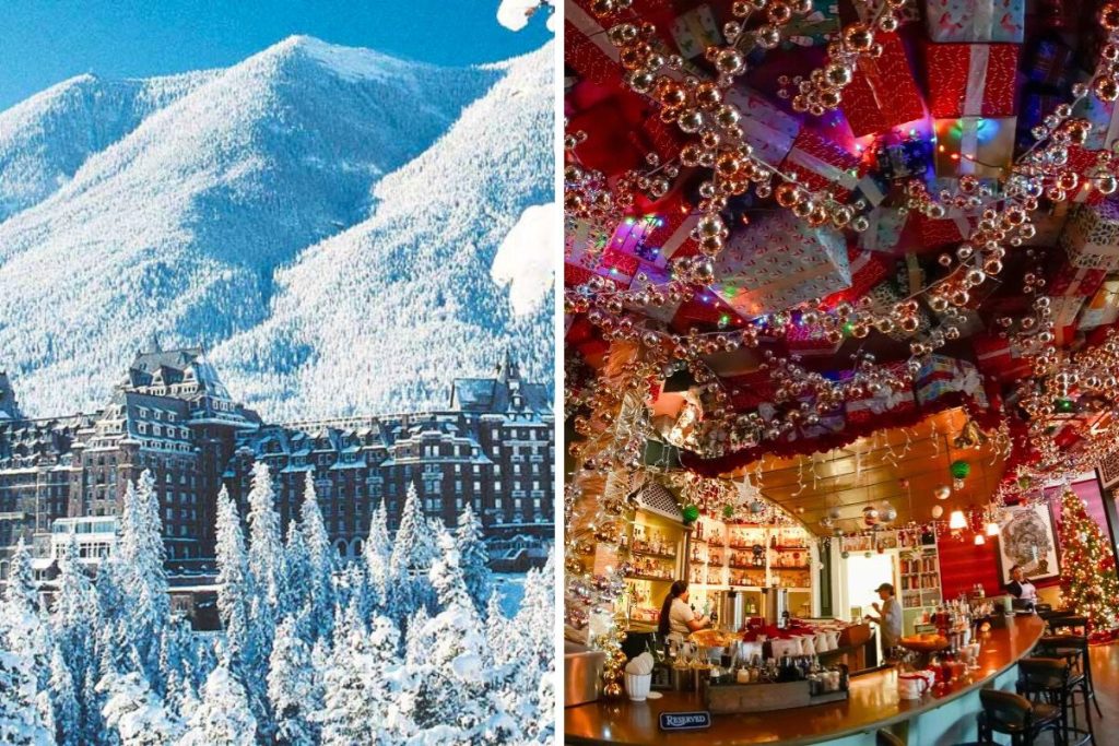 12 days of giveaways