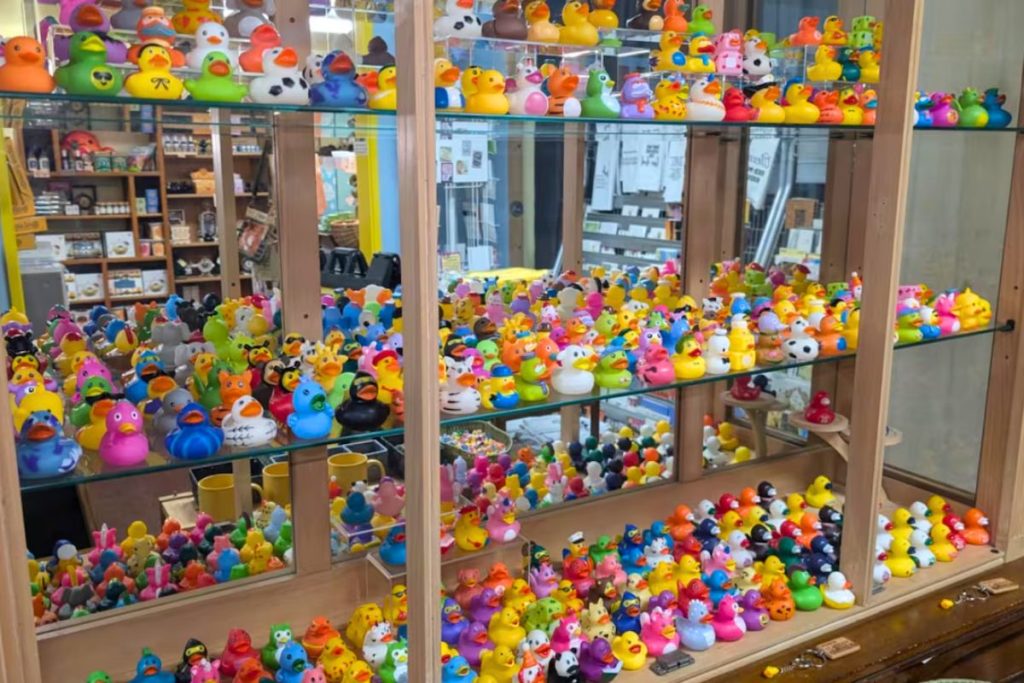 rubber duck museum