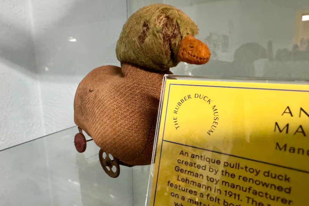 rubber duck museum
