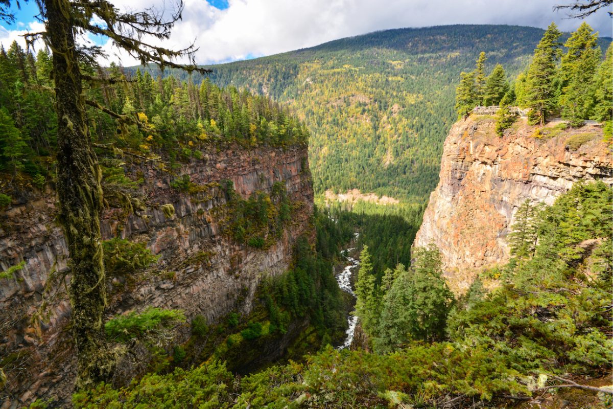 b.c. campsite reservations