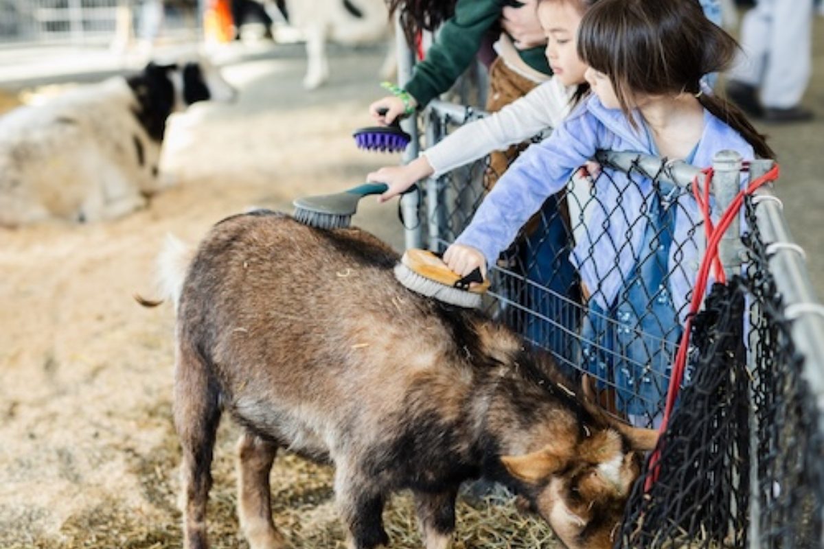 things to do in metro vancouver