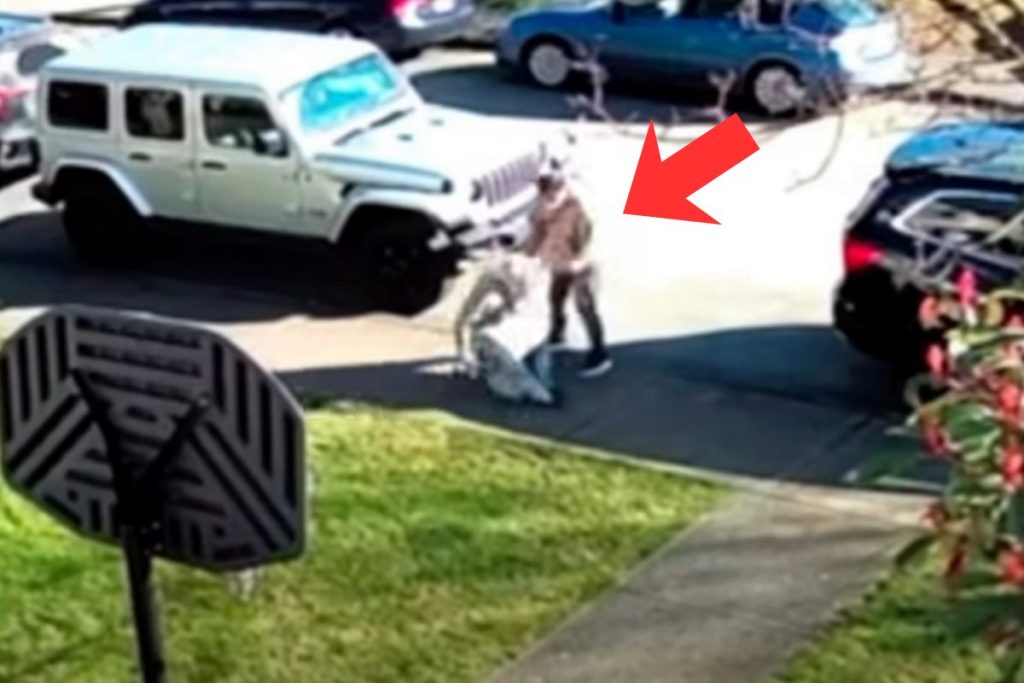 new westminster robbery