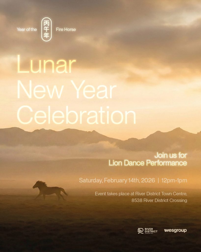 Lion Dance Celebration