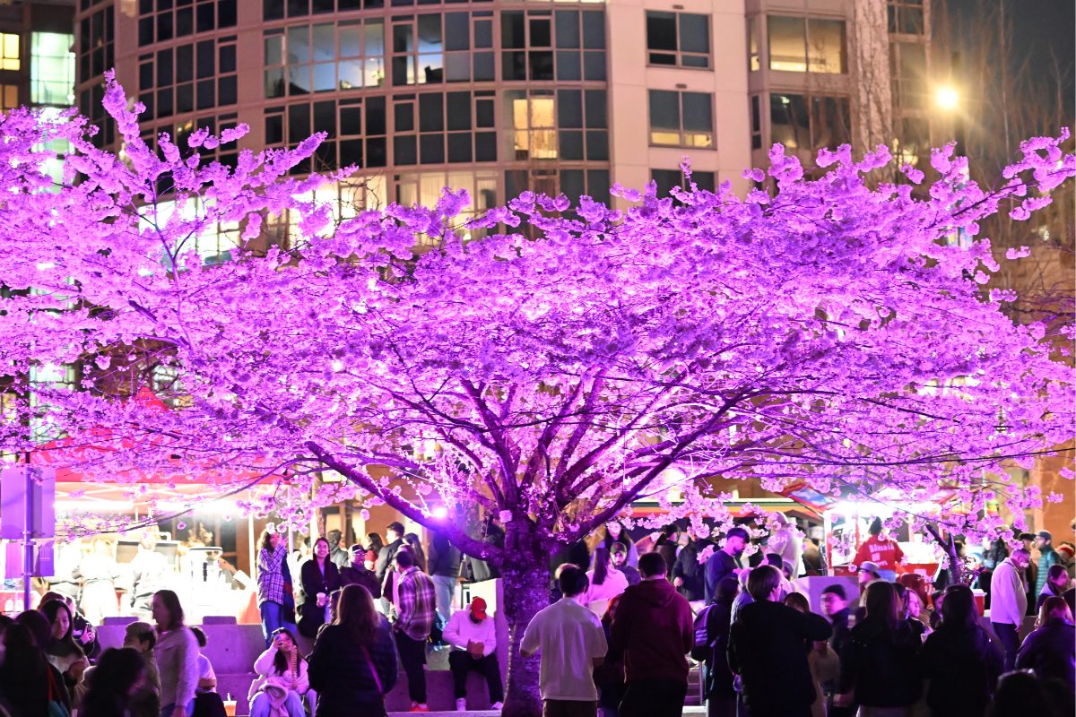 Vancouver Cherry Blossom Festival