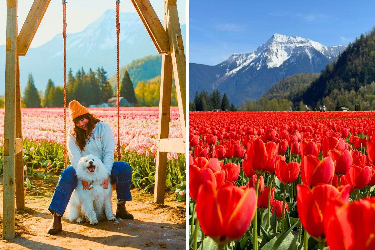 things to do in metro vancouver