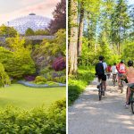 8 Van Experiences That Are Actually Worth The Money