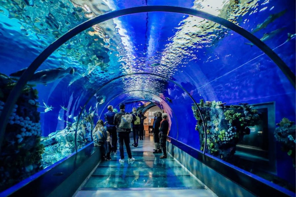 vancouver aquarium tunnel
