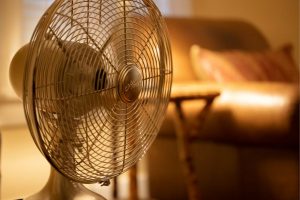 Health Canada Recalls Fan Sold At Winners Over Overheating Risk