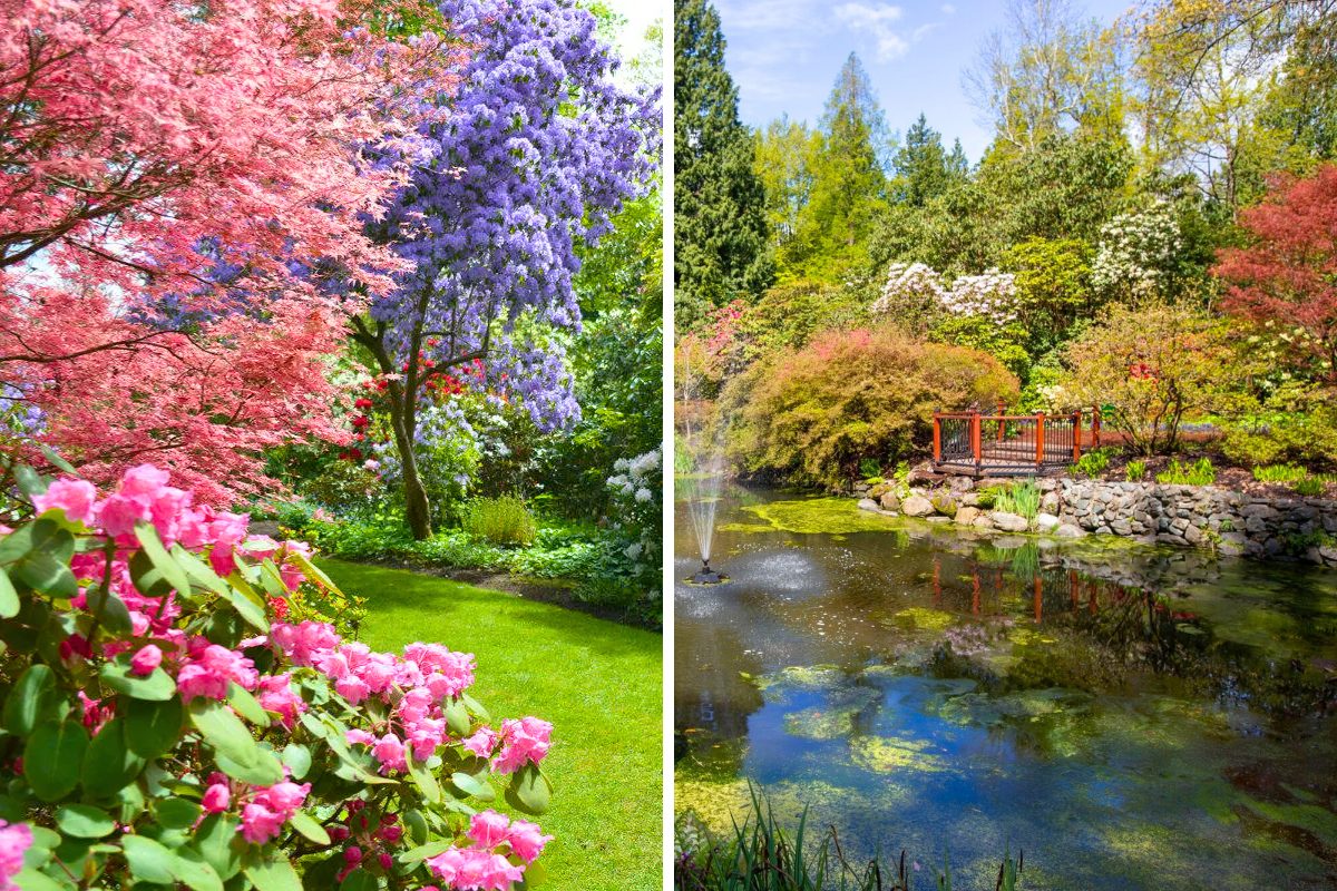 glades woodland garden