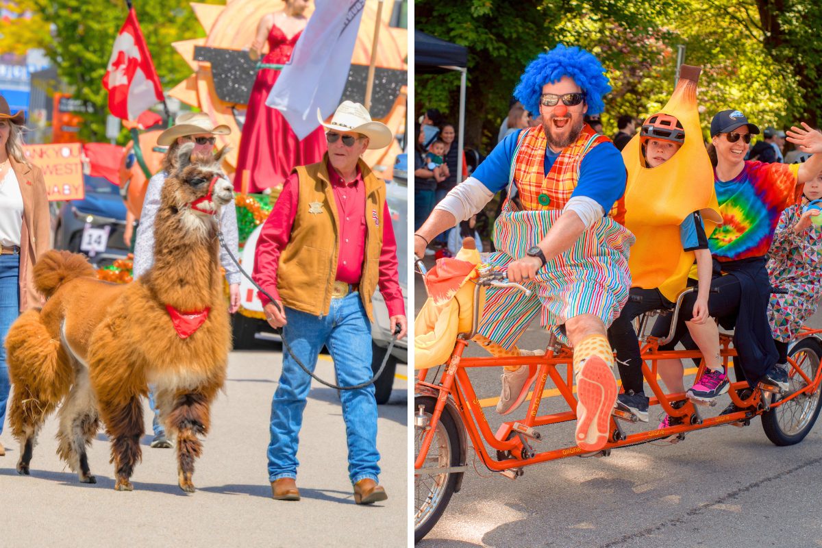 hyack multicultural parade festival