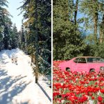 9 Exciting Spring Things To Do In B.C.