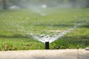 Water Restrictions In Metro Vancouver Are Kicking In Soon And Here’s What You Need To Know