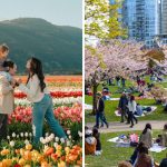 28 Fun Things To Do In Metro Vancouver This Week (Apr 13-19)