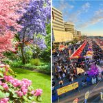 24 Fun Things To Do In Metro Vancouver This Week (Apr 27-May 3)