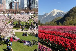 26 Fun Things To Do In Metro Vancouver This Weekend (Apr 10-12)
