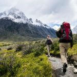 B.C. Hikers Are Advised To Check For These Insects As Their Population Rises