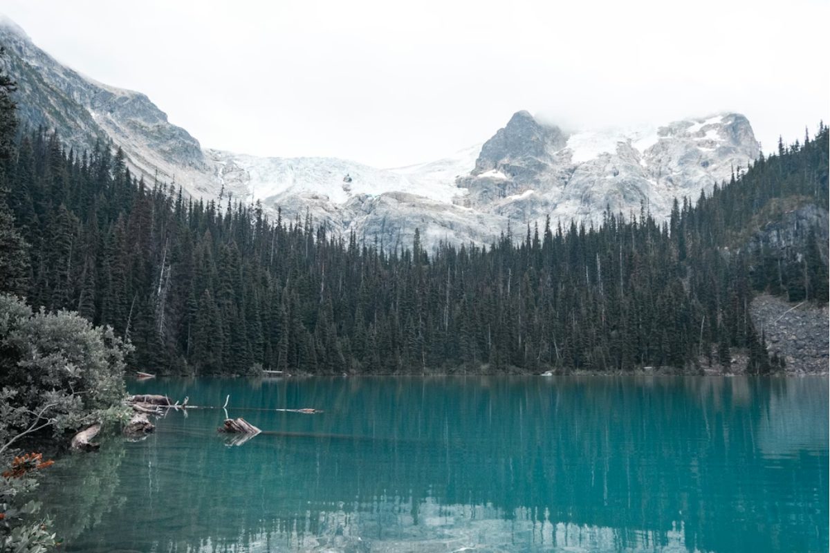bc parks pass