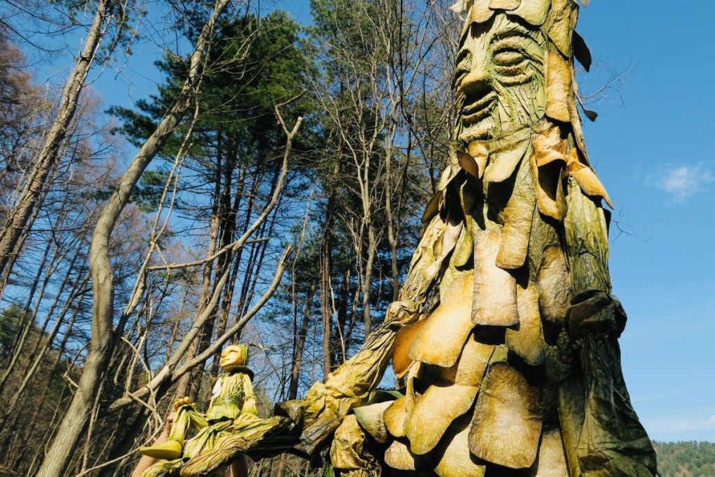 me & the forest